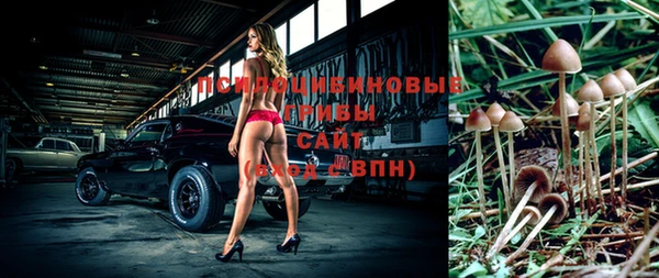 МДПВ Кодинск