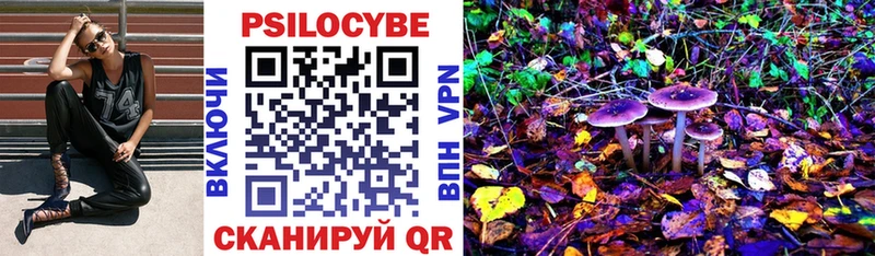 наркота Кондрово Галлюциногенные грибы Psilocybine cubensis